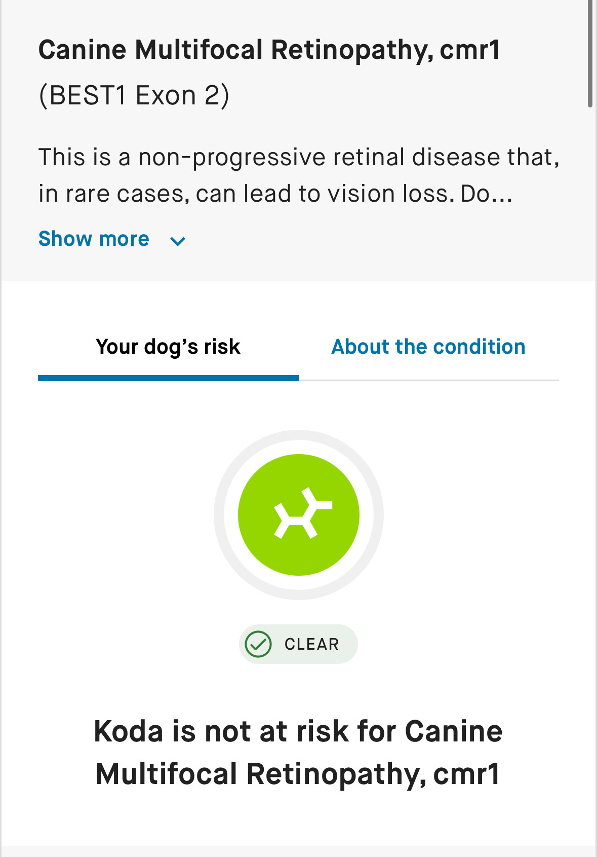 100% Cane Corso DNA Test