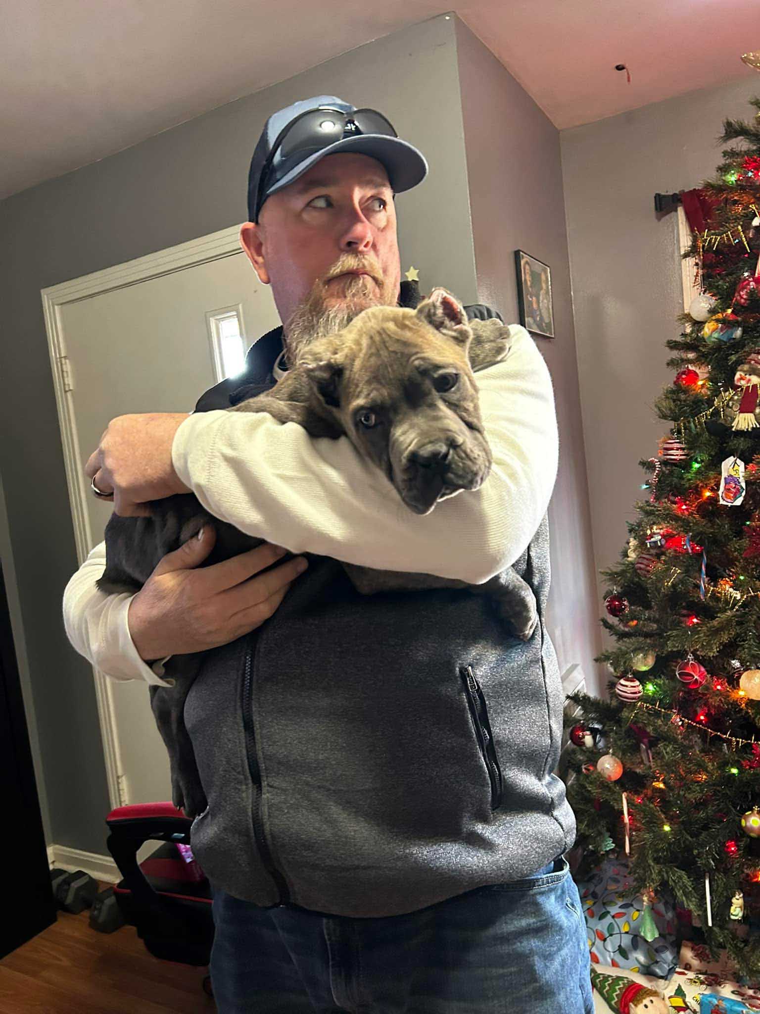 Family with Cane Corso puppy